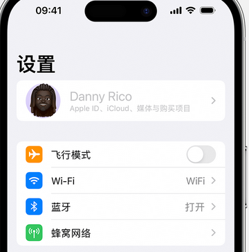 台儿庄appleID维修服务iPhone设置中Apple ID显示为灰色无法使用