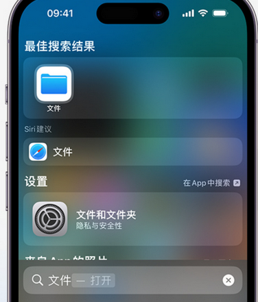 台儿庄apple维修中心分享iPhone文件应用中存储和找到下载文件 