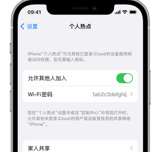 台儿庄apple服务站点分享iPhone上个人热点丢失了怎么办 