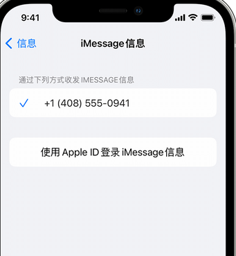 台儿庄apple维修iPhone上无法正常发送iMessage信息