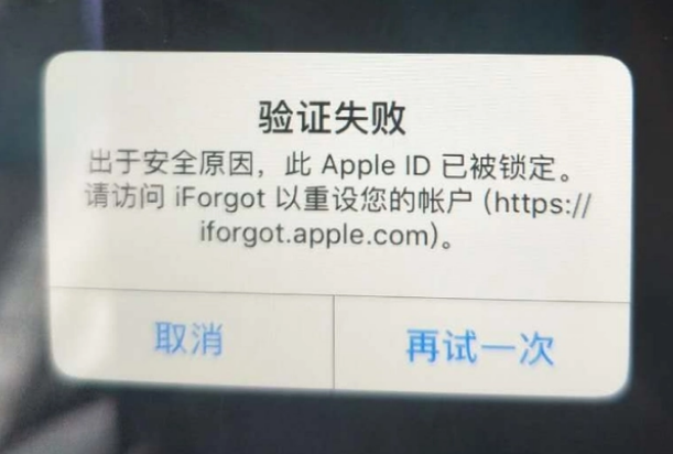 台儿庄iPhone维修分享iPhone上正常登录或使用AppleID怎么办 