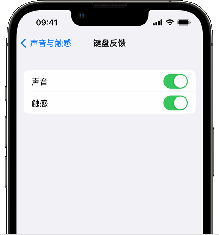 台儿庄苹果14维修店分享如何在 iPhone 14 机型中使用触感键盘 