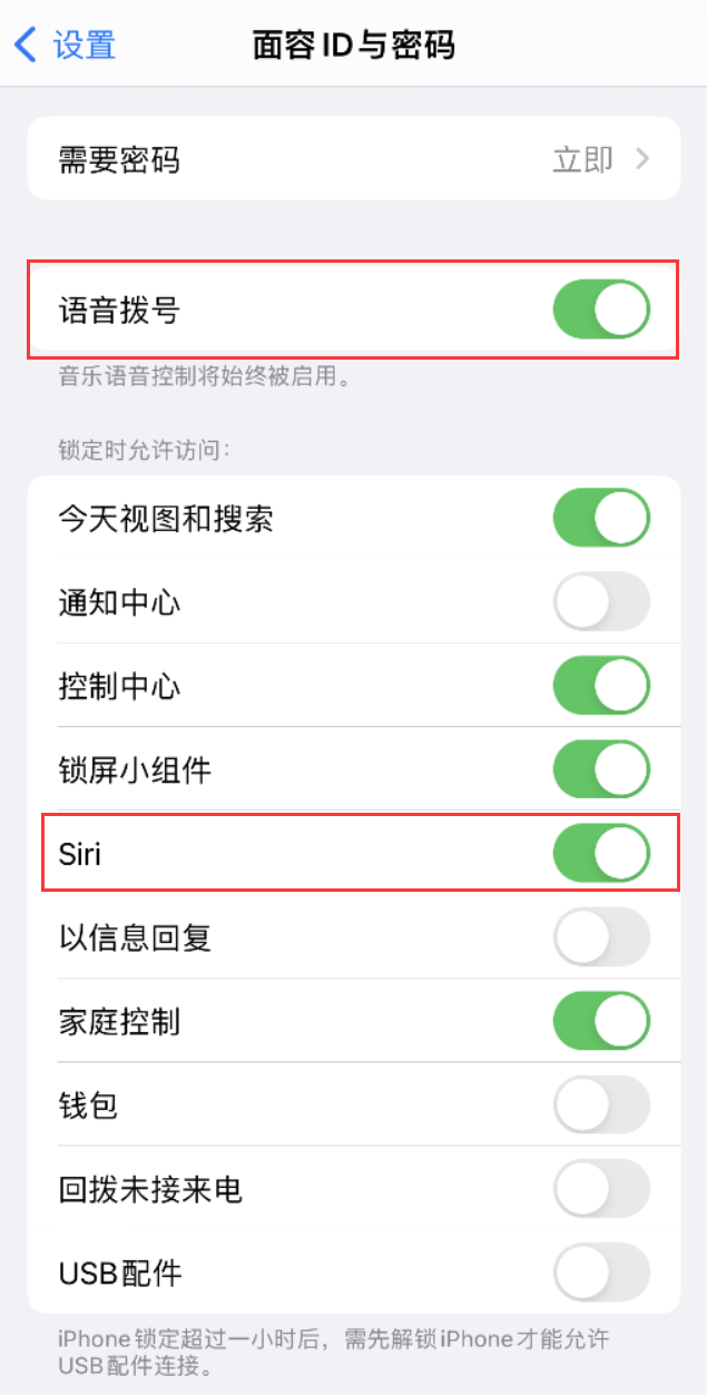 台儿庄苹果维修网点分享不解锁 iPhone 的情况下通过 Siri 拨打电话的方法 