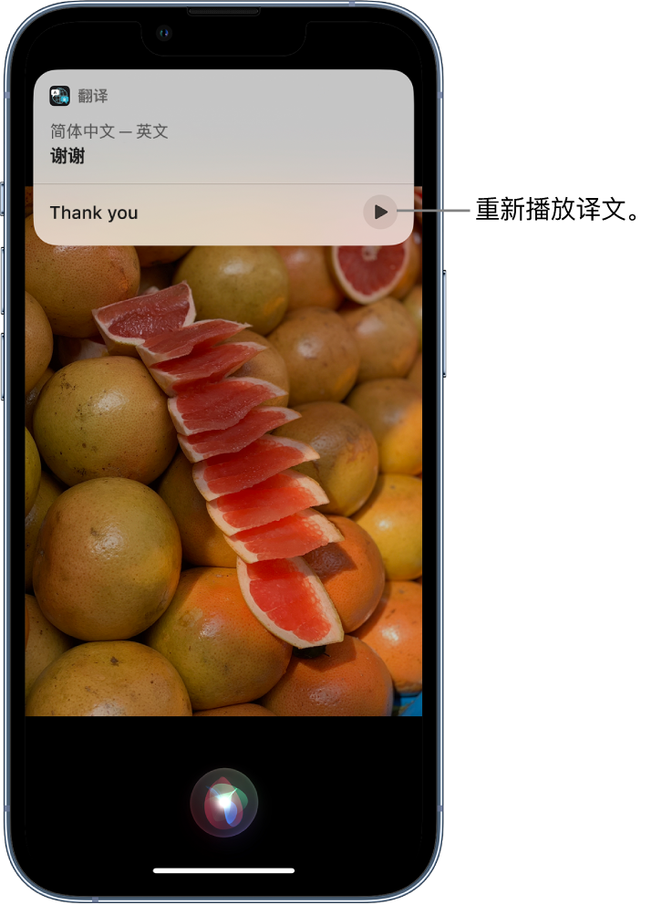 台儿庄苹果14维修分享 iPhone 14 机型中使用 Siri：了解 Siri 能帮你做什么 