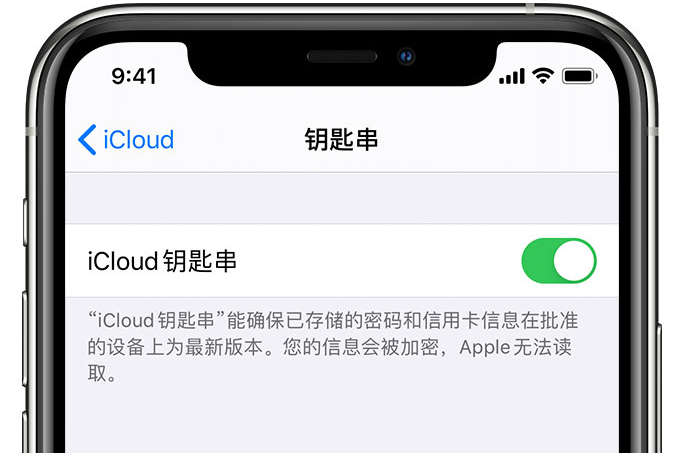 台儿庄苹果手机维修分享在 iPhone 上开启 iCloud 钥匙串之后会储存哪些信息 