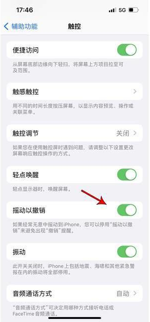 台儿庄苹果手机维修分享iPhone手机如何设置摇一摇删除文字 