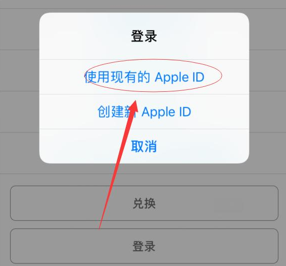 台儿庄苹果手机维修分享两台iPhone设备可以同时登录一个Apple ID吗 