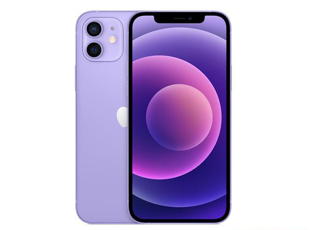 台儿庄苹果手机维修分享现阶段要不要入手紫色版iPhone12 