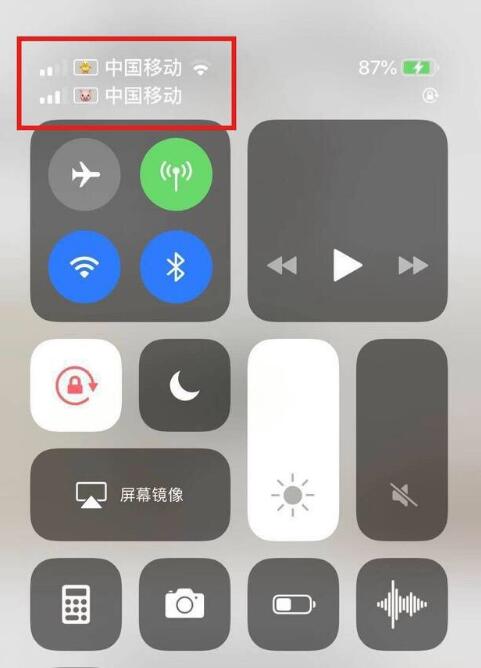 台儿庄苹果手机维修分享为 iPhone 12 双卡设置标签 