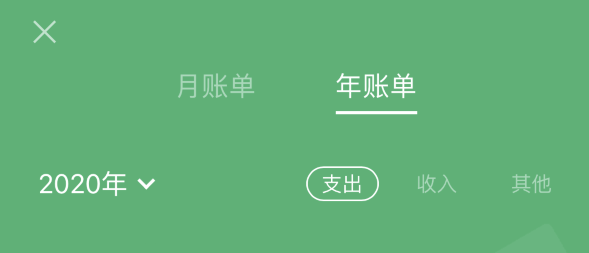 台儿庄苹果手机维修分享如何在 iPhone 上查看支付宝和微信年支出账单 